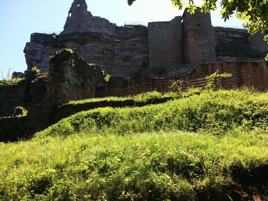 Château Fleckenstein vue 1