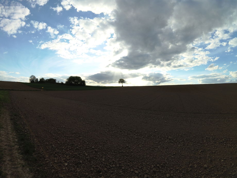 Paysage des champs autour d'Hunspach