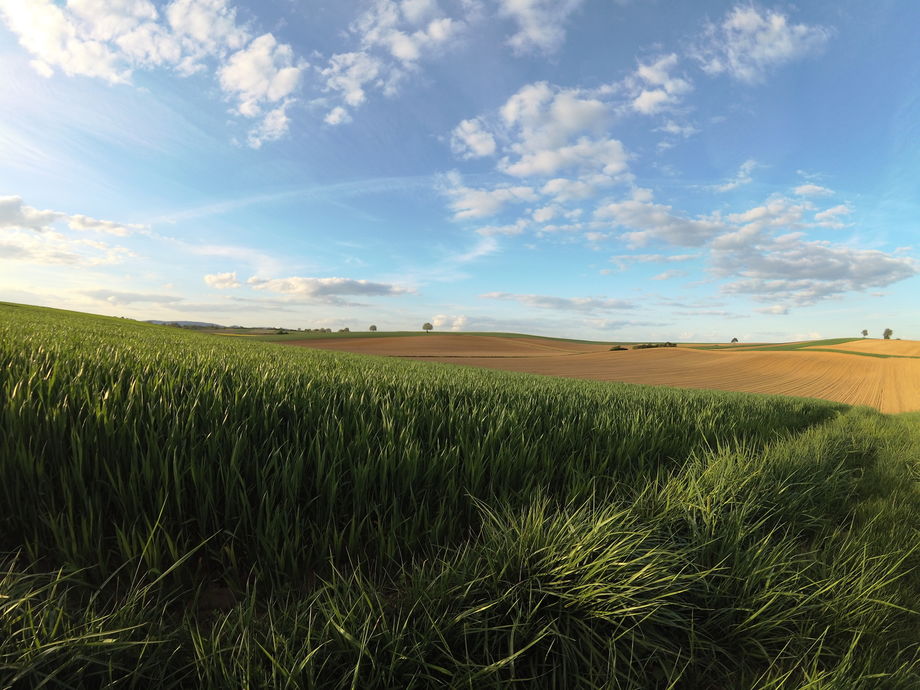 Autre paysage des champs autour d'Hunspach