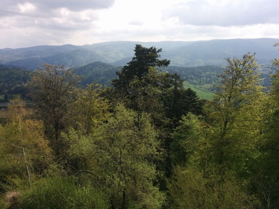 Vue 2 depuis le château de Salm