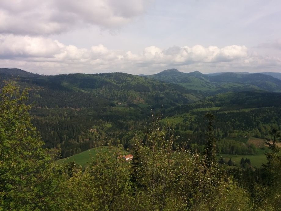 Vue 3 depuis le château de Salm