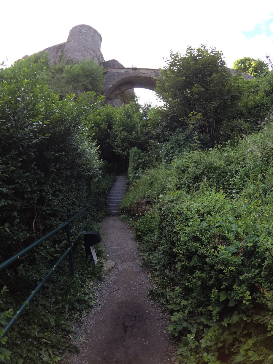 Bouillon